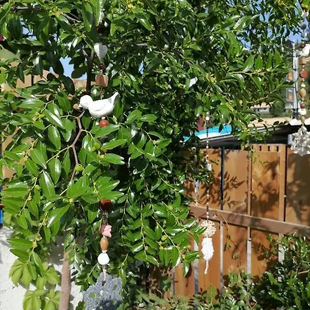 εvdokia's House Σπίτι διακοπών